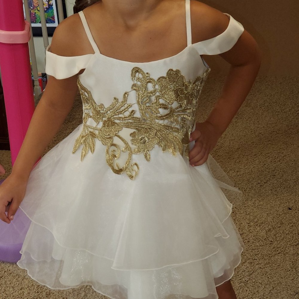 Zoe LTD Dress